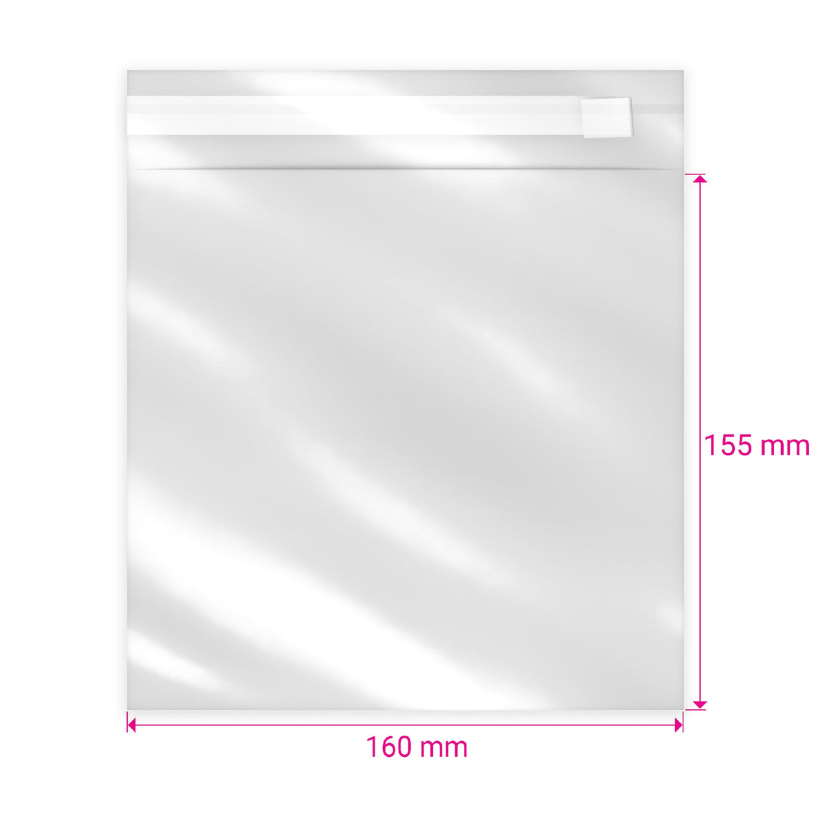 Biodegradable PLA Bags