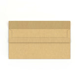 DL Manila Brown Envelope (110 x 220mm)