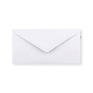 DL White Envelope (110 x 220mm)