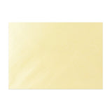 CHAMPAGNE LUSTRE ENVELOPE 125X175MM (B6)