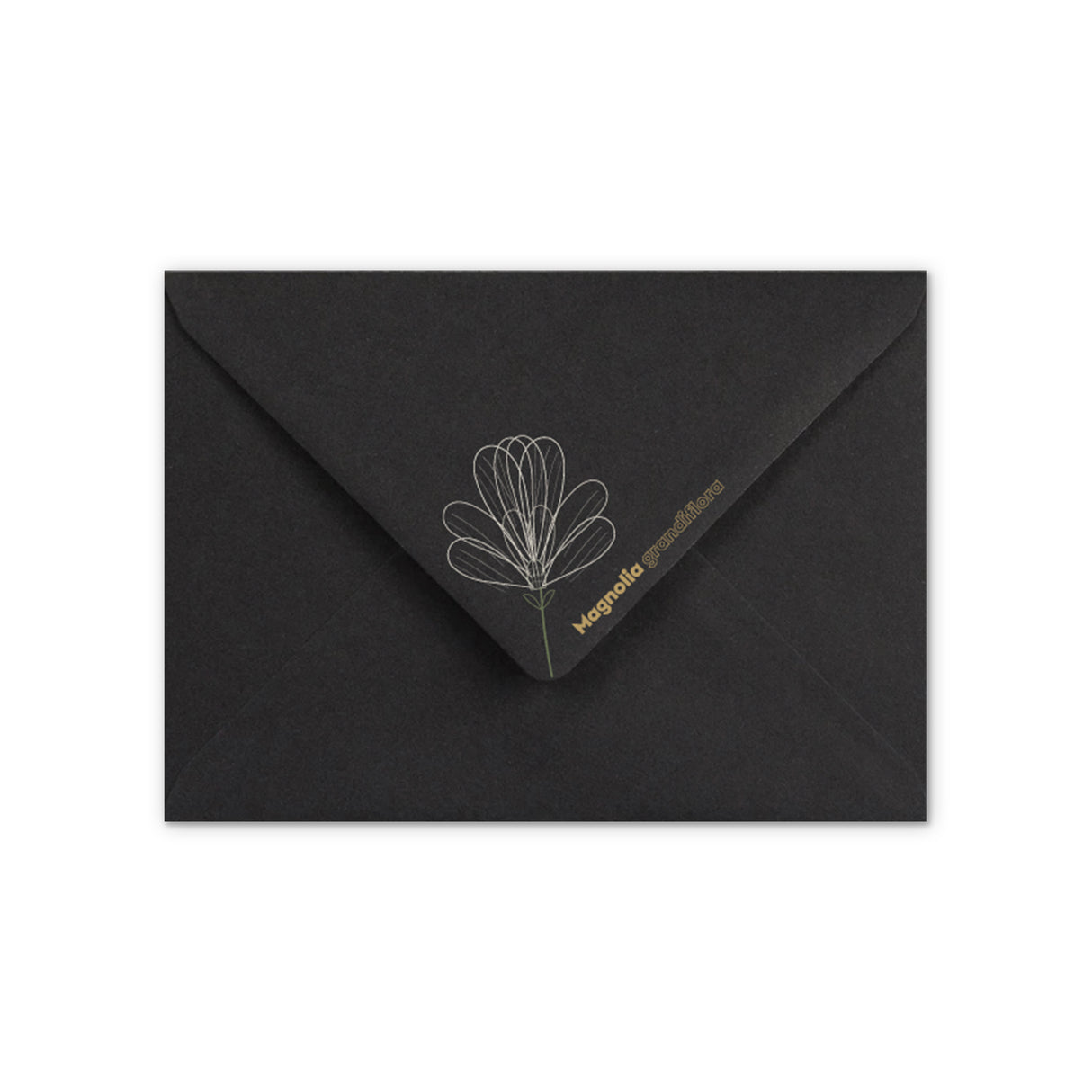 Envelope Magnolia design
