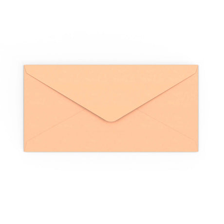 DL Salmon Pink Gummed V-Flap Envelope (110 x 220mm)