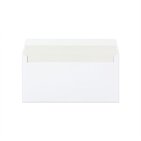 DL White Envelope (110 x 220mm)