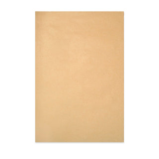 Manilla Board Back Envelope 229x162 mm (C5)