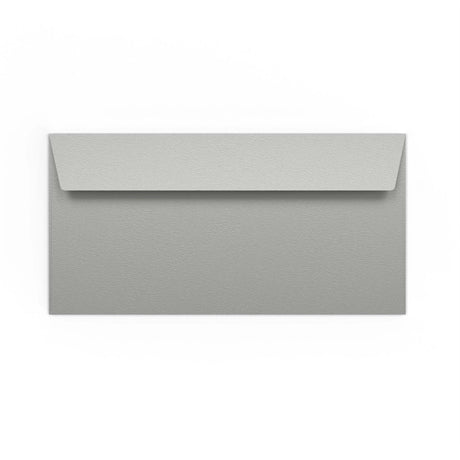 DL Silver Peel & Seal Coloured Envelope (110 x 220mm)