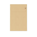 Reusable Paper Mailing Bags