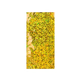 Holographic Finish Foil Bags