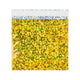 Holographic Finish Foil Bags Holographic Gold 165 x 165 mm