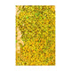 Holographic Finish Foil Bags Holographic Gold 229 x 162 mm (C5)
