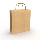 Twist Handle Paper Bags